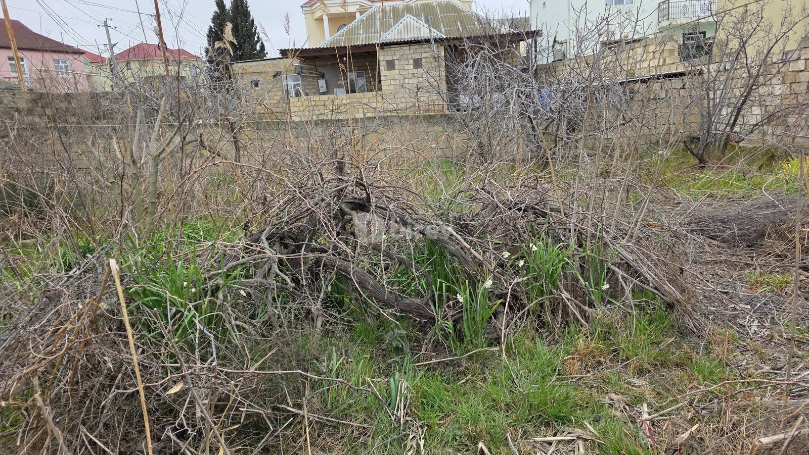 3.4 sot torpaq, Sumqayıt şəhəri, Sumqayıt şəhəri, Sumqayıt şəhəri — şəkil 2