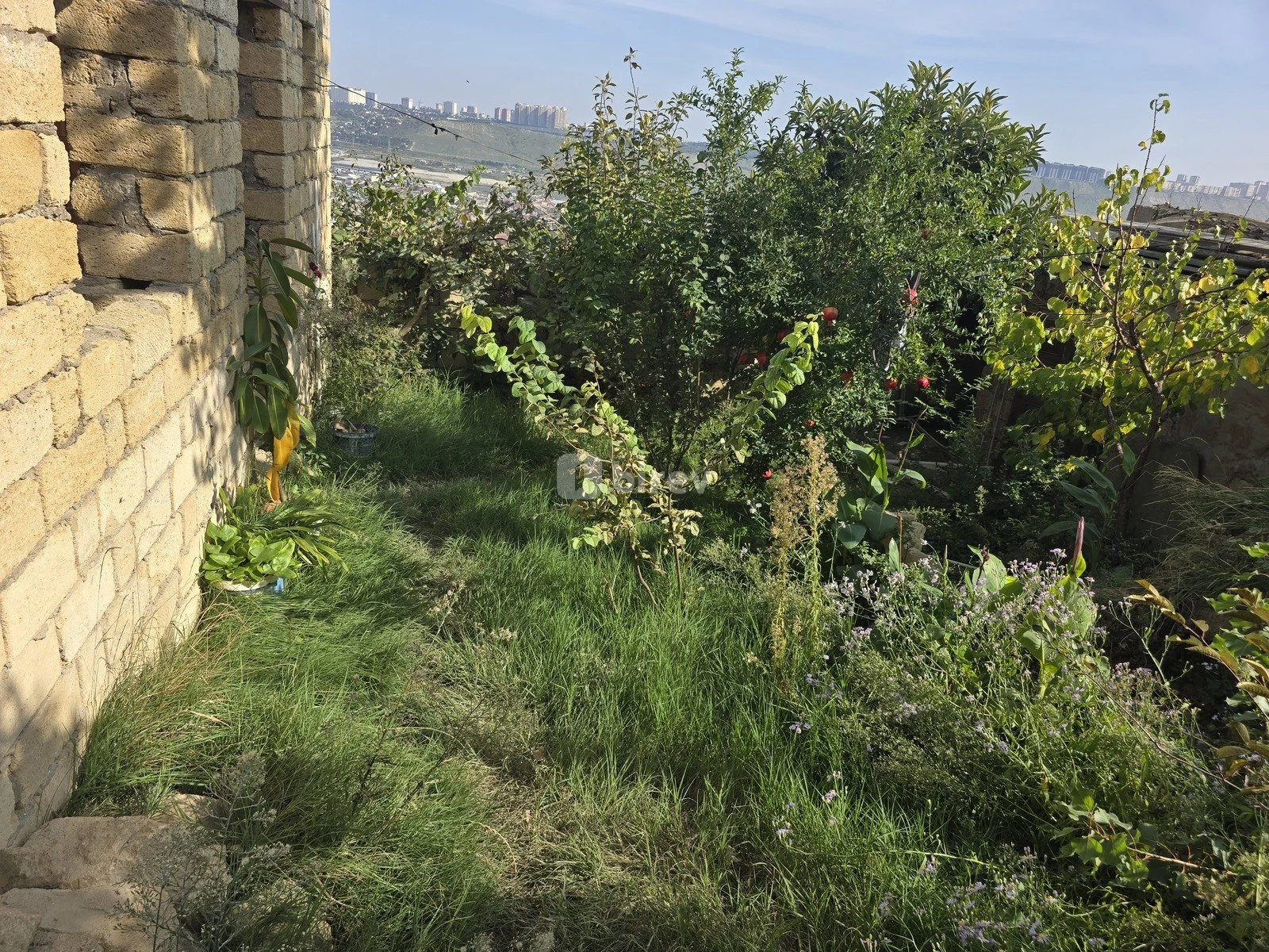 3 otaqlı həyət evi, Sulutəpə q., Tuğay küçəsi, Binəqədi rayonu — şəkil 2