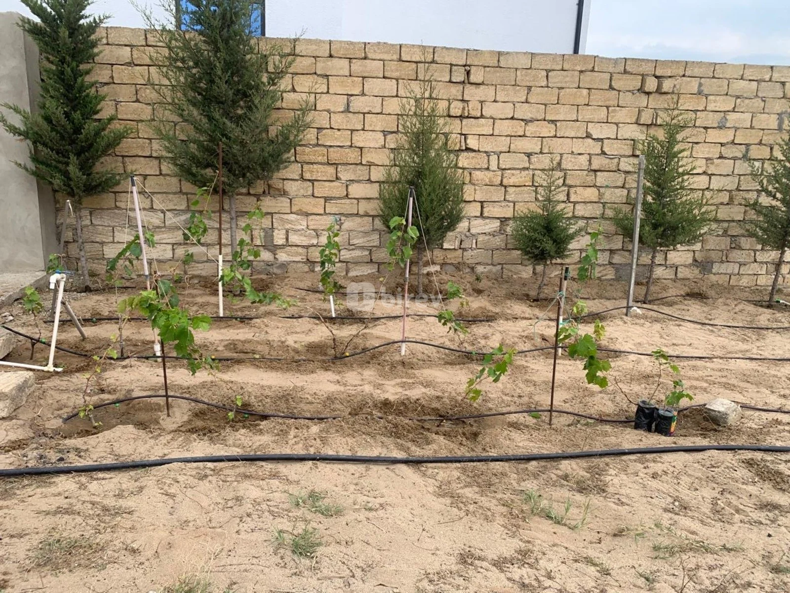 4 sot torpaq, Sea Breeze q., Sea Breeze, Sabunçu rayonu — şəkil 3