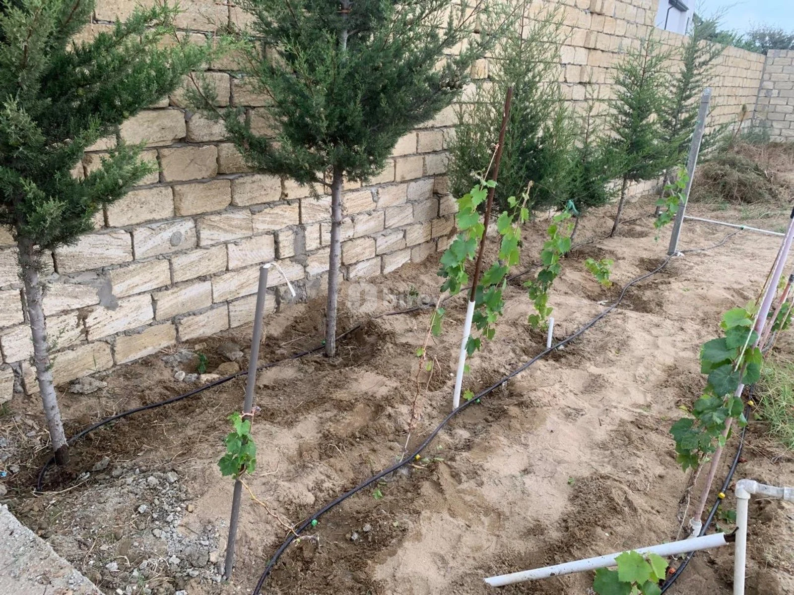 4 sot torpaq, Sea Breeze q., Sea Breeze, Sabunçu rayonu — şəkil 4