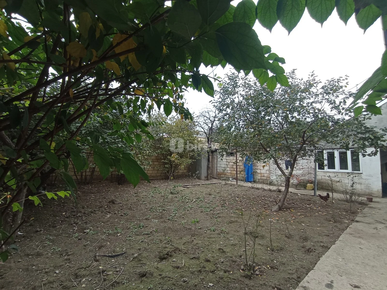 3 otaqlı həyət evi, Quba rayonu, Vaqif küç. — şəkil 9