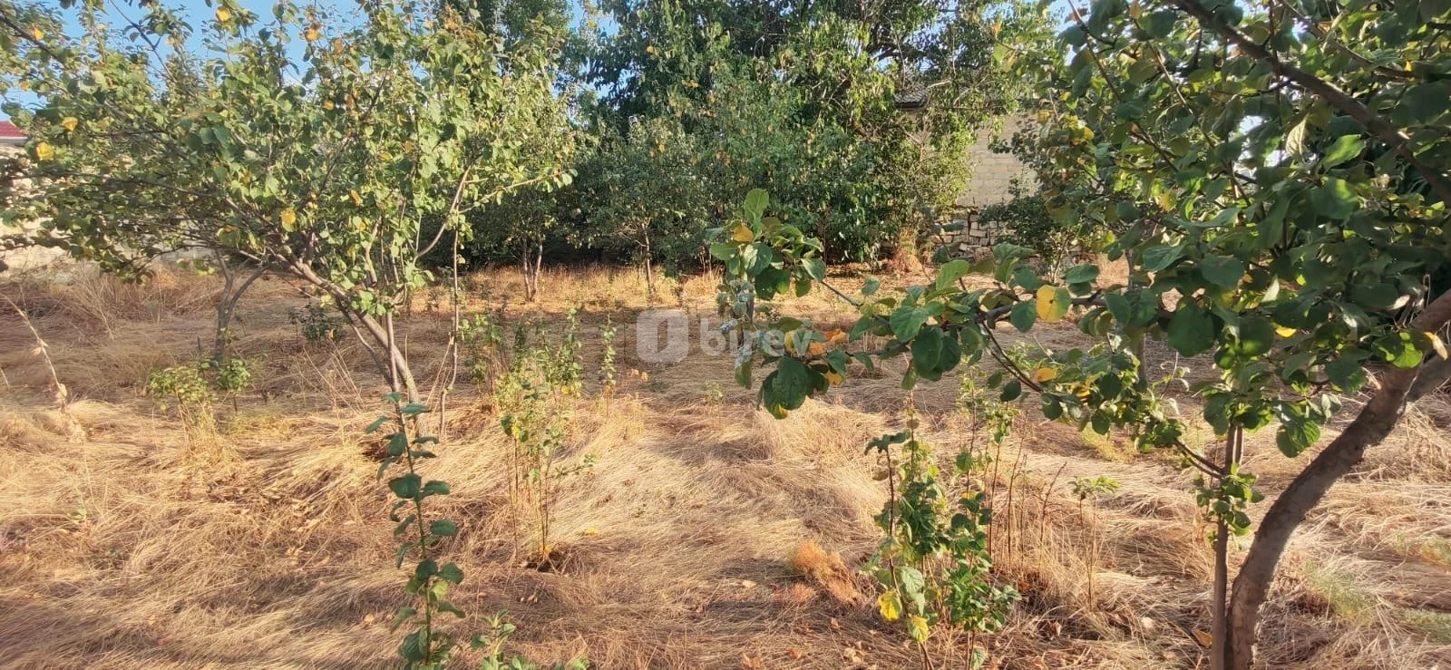 4 otaqlı həyət evi, Şamaxı rayonu, Şamaxı rayonu. — şəkil 3