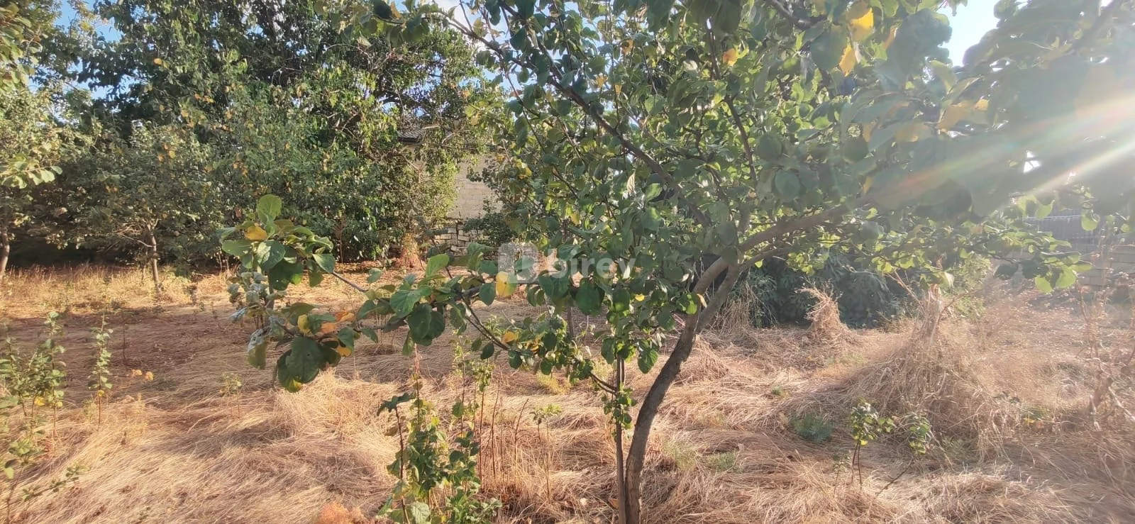 4 otaqlı həyət evi, Şamaxı rayonu, Şamaxı rayonu. — şəkil 14