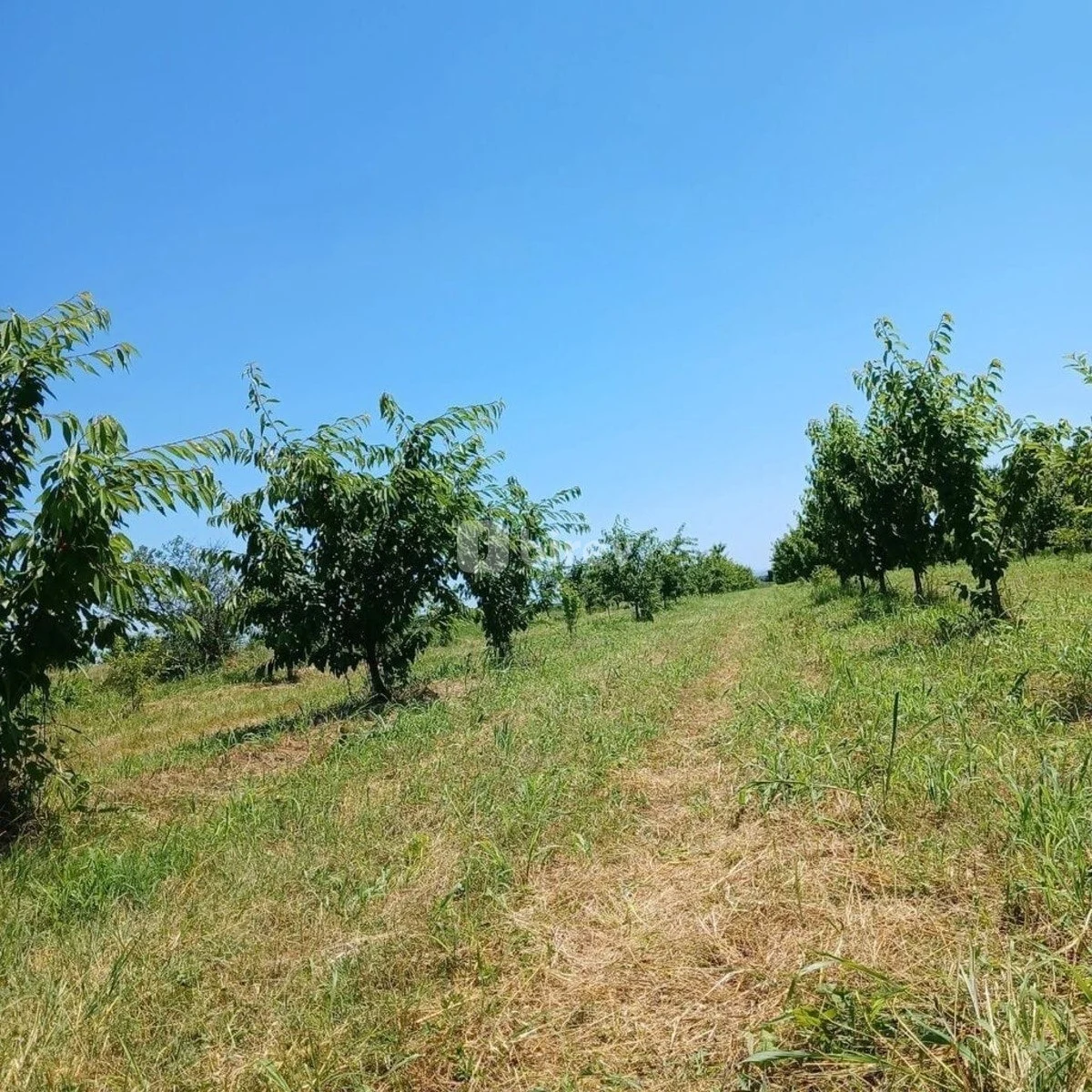 213 sot torpaq, Quba rayonu, Quba rayonu — şəkil 3