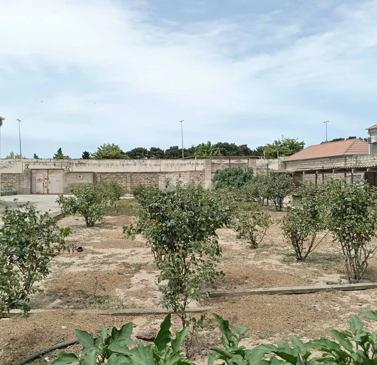 20 sot torpaq, Binə q., Cəmil Səlimov k. 23, Xəzər rayonu — şəkil 1
