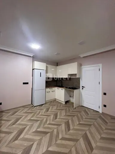 1 otaqlı həyət evi, Badamdar q.