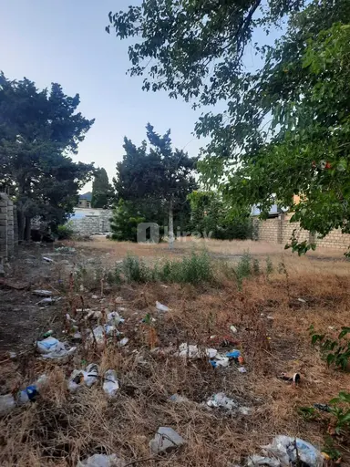 5 sot torpaq, 6-cı mikrorayon