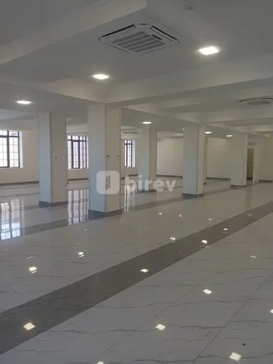 Ofis, Böyükşor q.