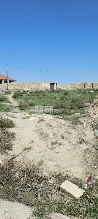 9 sot torpaq, Hökməli q.