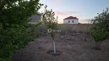 6 sot torpaq, Novxanı q.