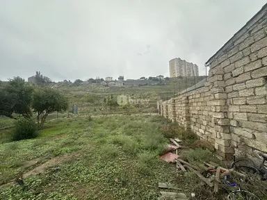 2.5 sot torpaq, Zığ q.