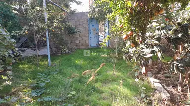3 otaqlı həyət evi, Sumqayıt şəhəri, Sumqayıt ş.