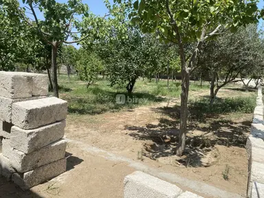 7 sot torpaq, Şüvəlan q.