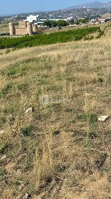 495.5 sot torpaq, Şamaxı rayonu, Şamaxı r.