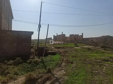 5 sot torpaq, Saray q.
