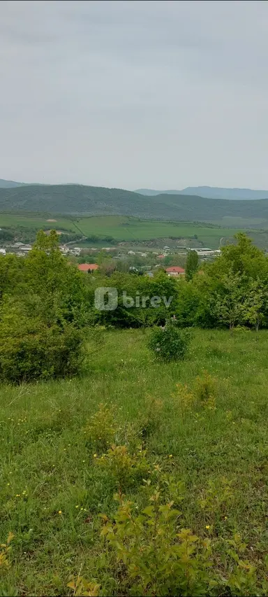 12 sot torpaq, Şabran rayonu, Şabran r.