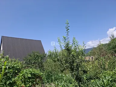 3.5 sot torpaq, Qəbələ rayonu, Qəbələ r.
