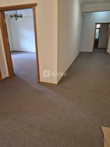 Ofis, Böyükşor q.