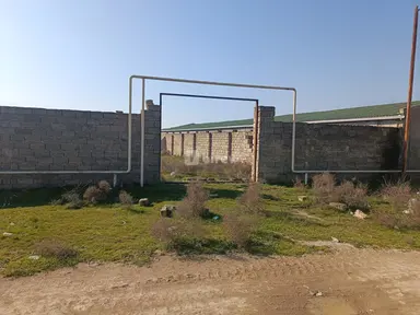 20 sot torpaq, Buzovna q.