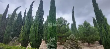 8 otaqlı həyət evi, Novxanı q.