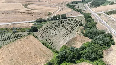 600 sot torpaq, Qusar rayonu, Qusar r.