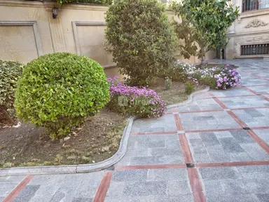 Bağban — iş nümunəsi 6