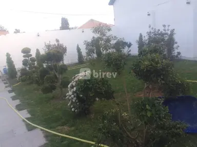Bağban — iş nümunəsi 16