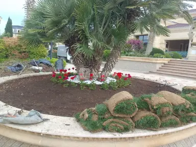 Bağban — iş nümunəsi 19