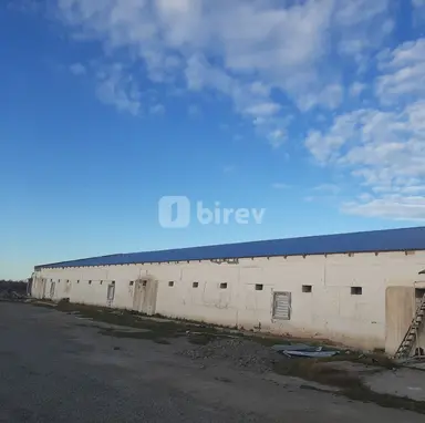 Dam ustası — iş nümunəsi 16