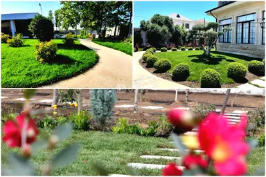 Landşaft ustası — iş nümunəsi 7