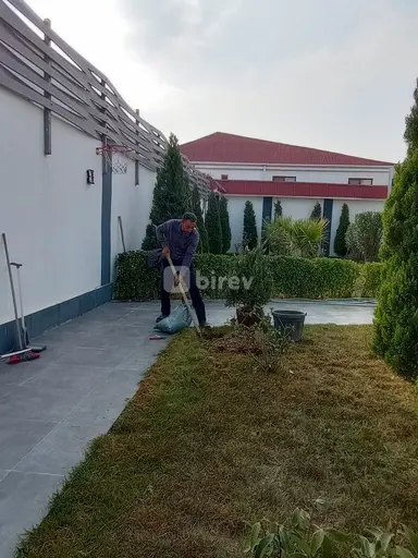 Bağban — iş nümunəsi 6