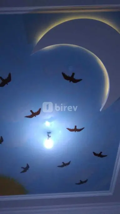 Alçıpan ustası — iş nümunəsi 12