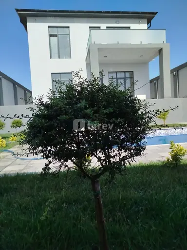 Hovuz ustası — iş nümunəsi 12