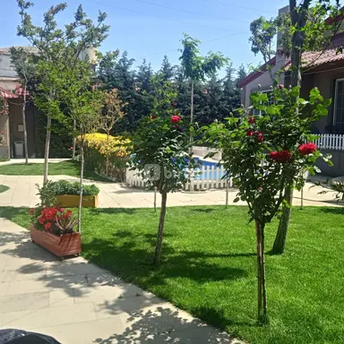 Bağban — iş nümunəsi 1
