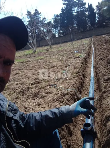 Bağban — iş nümunəsi 6