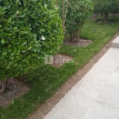 Bağban — iş nümunəsi 7