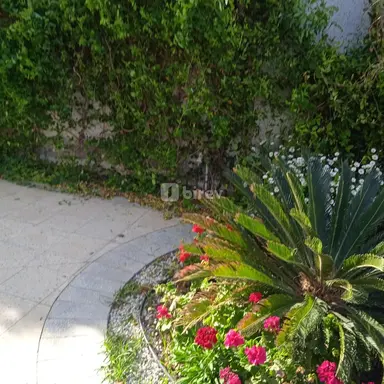 Bağban — iş nümunəsi 11