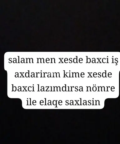 Yaşlı baxıcısı — iş nümunəsi 1
